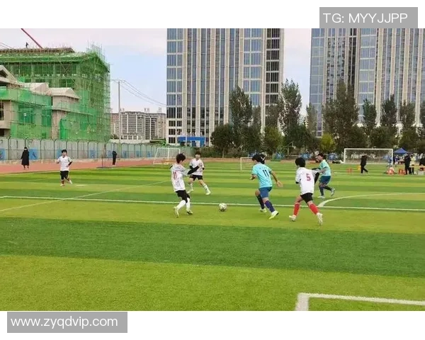 带你看足球领略绿茵场上的激情与梦想一起感受比赛的魅力与团队的精神